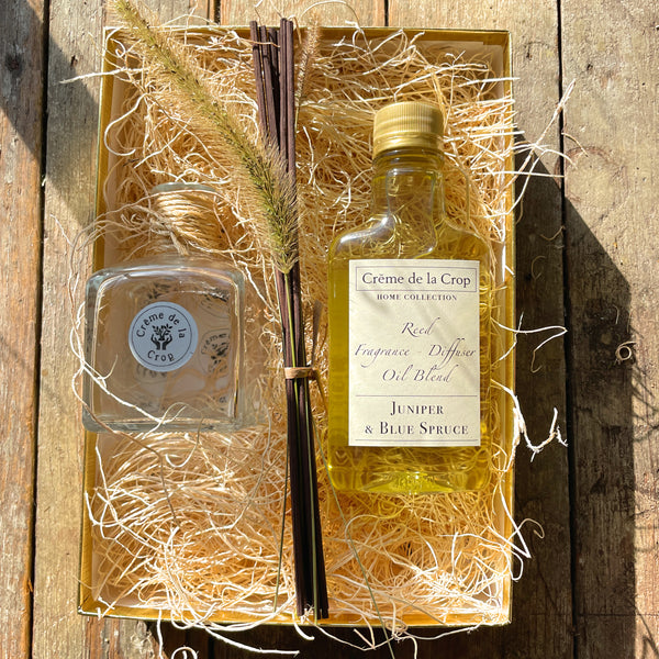reed diffuser kit juniper blue spruce front view