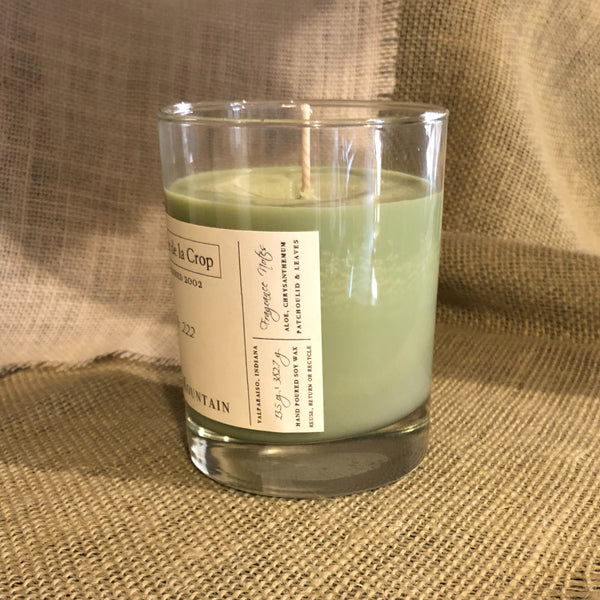 Soy Candle - Jade Mountain - Aloe & Agave - Zero Waste - Non-Toxic side