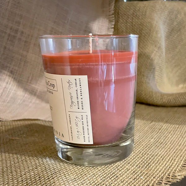 Soy Candle - Palagonia - Blood Orange - Safe - Non-Toxic Side