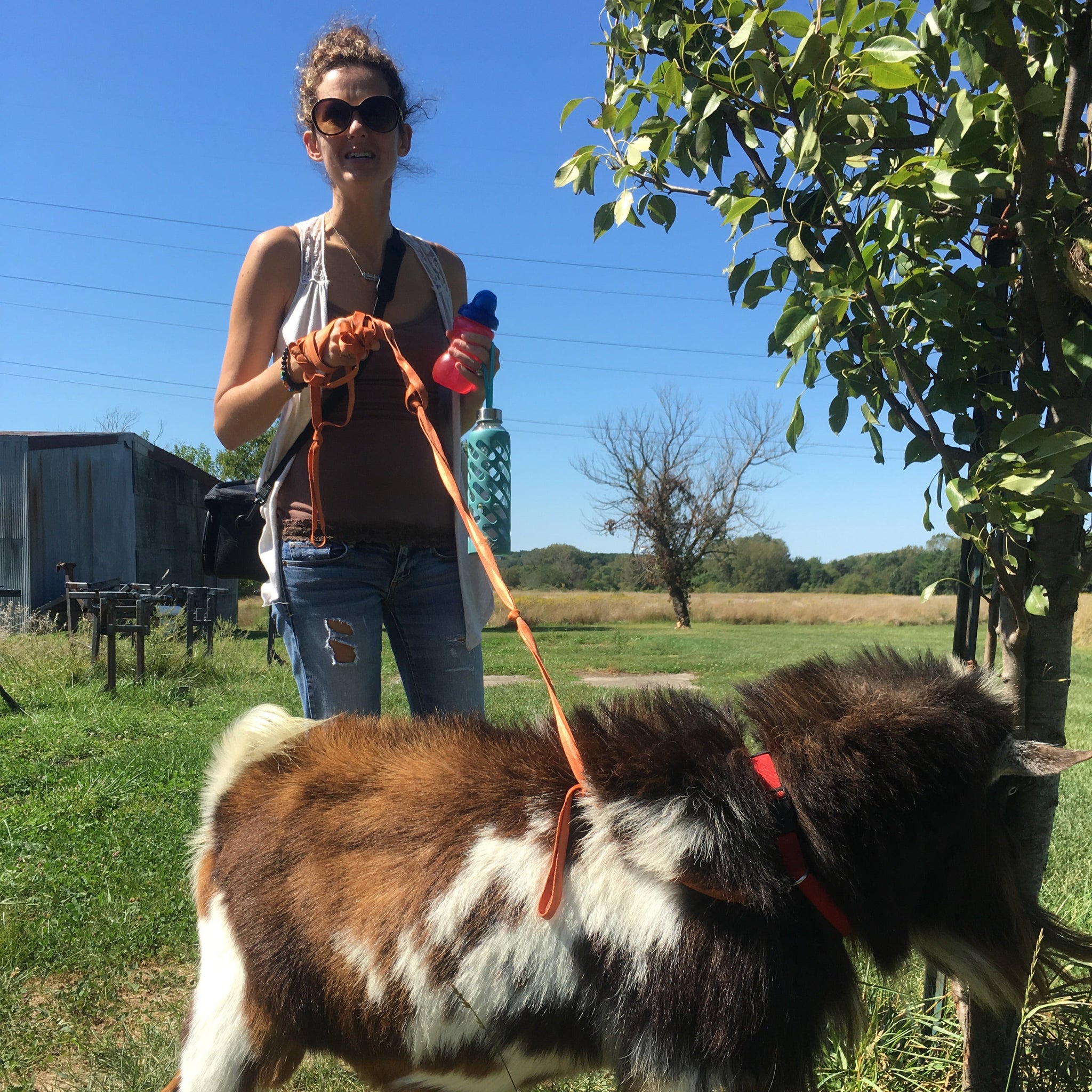 Goat Walking - Friday, April 25th, 3:30 pm to 4:30 pm