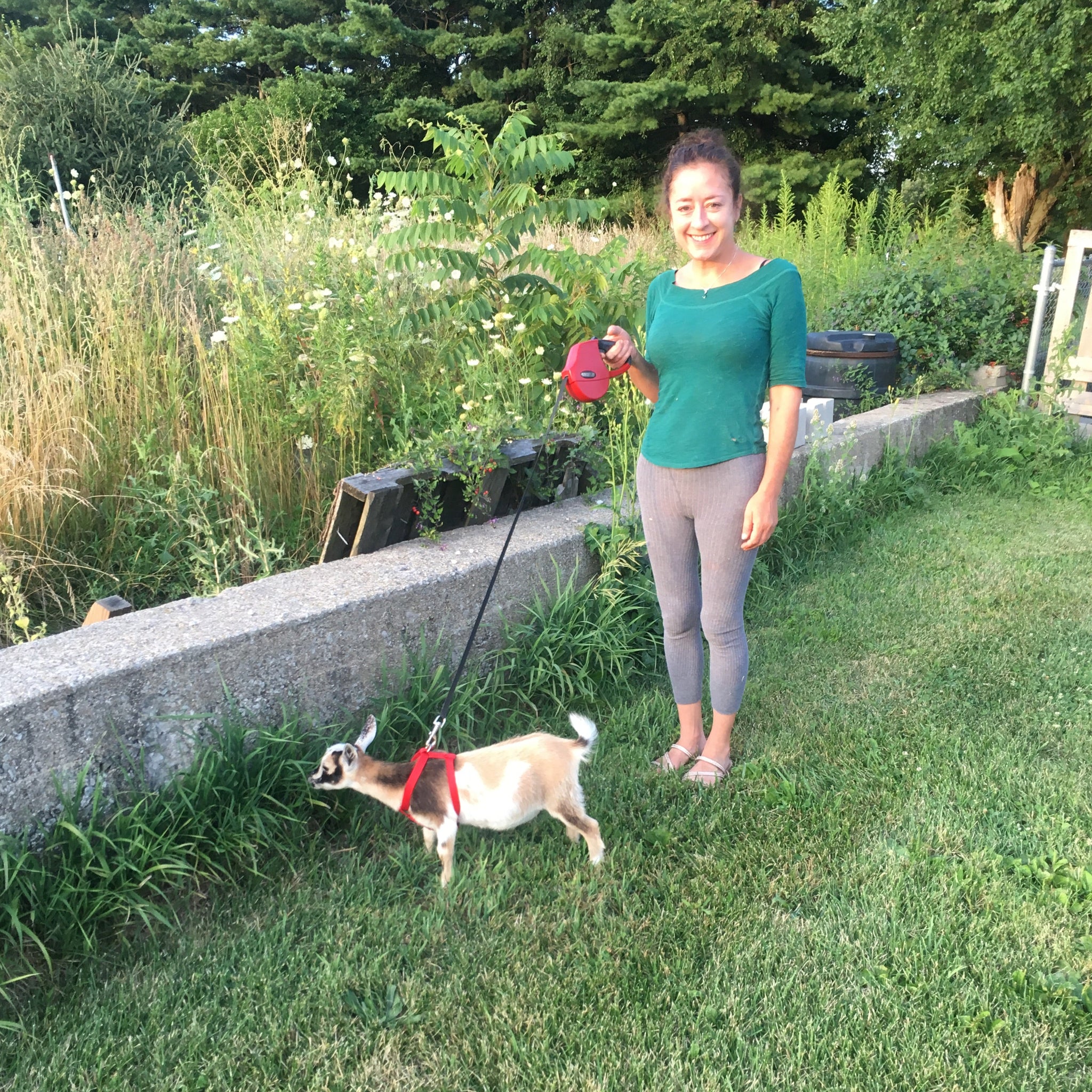 Goat Walking - Friday, May 2nd, 3:30 pm to 4:30 pm
