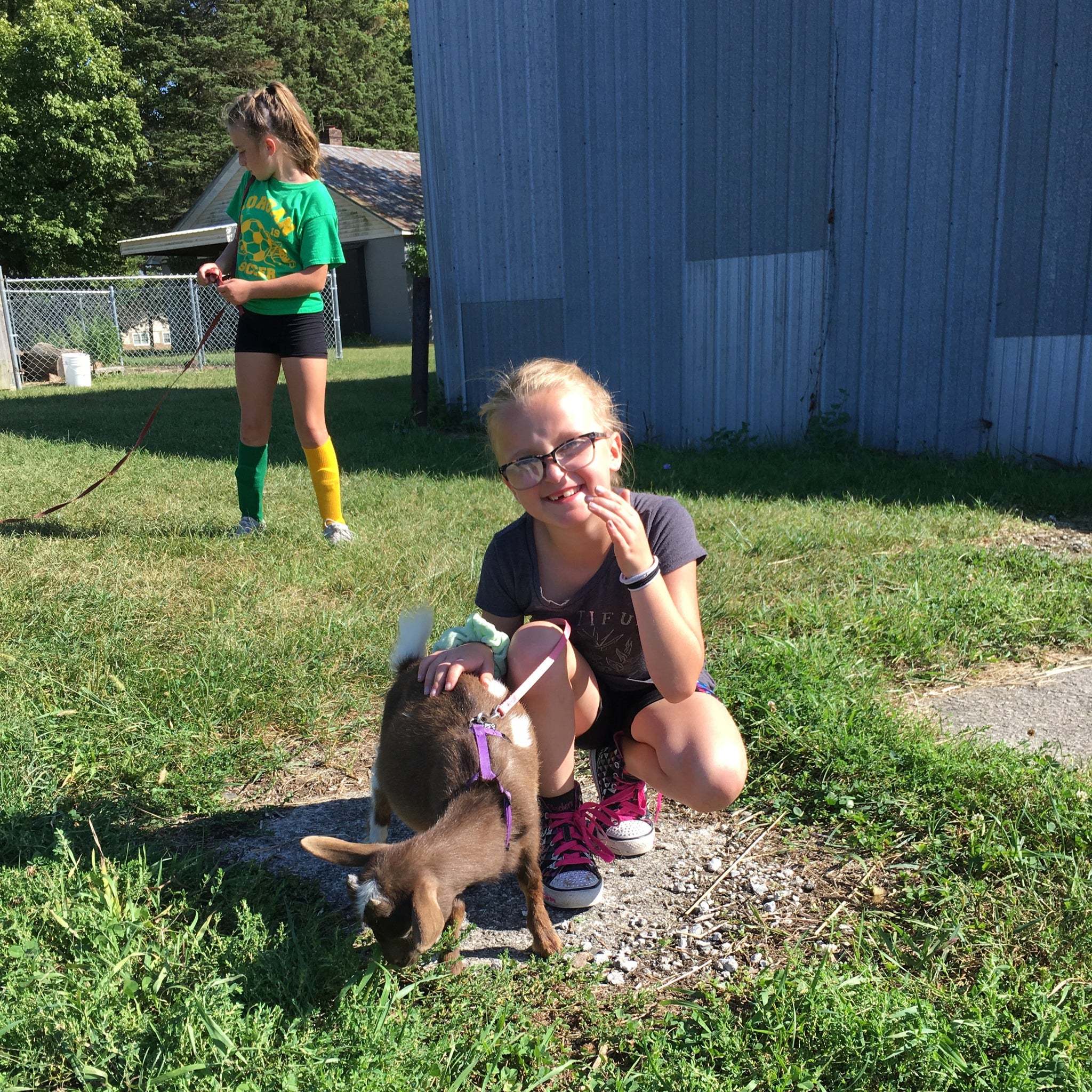Goat Walking - Friday, October 31st, 3:30 pm to 4:30 pm