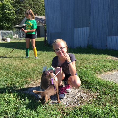 Goat Walking - Friday, October 31st, 3:30 pm to 4:30 pm