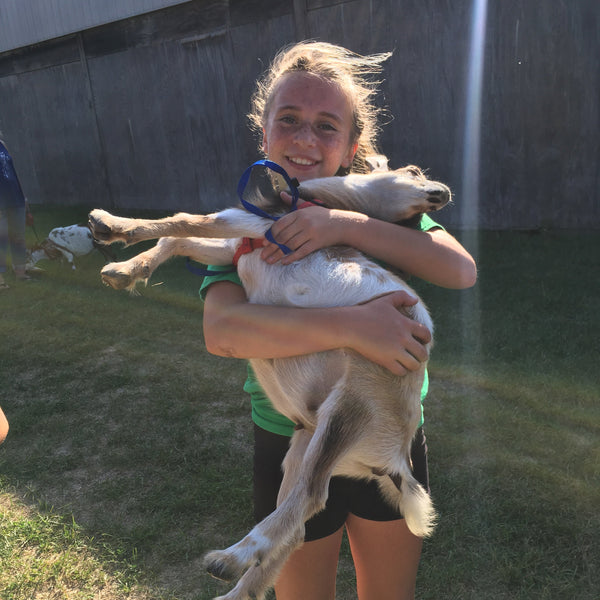 Person holding a small goat on grass
