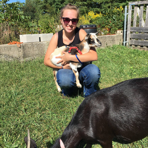 Person holding a small goat on a grassy area with a large black gat nearby.