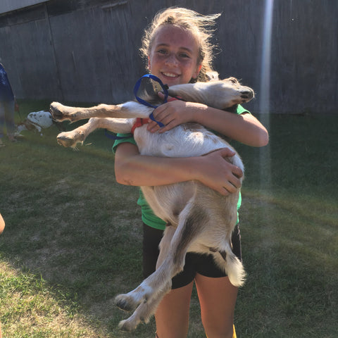 Person holding a small goat on grass