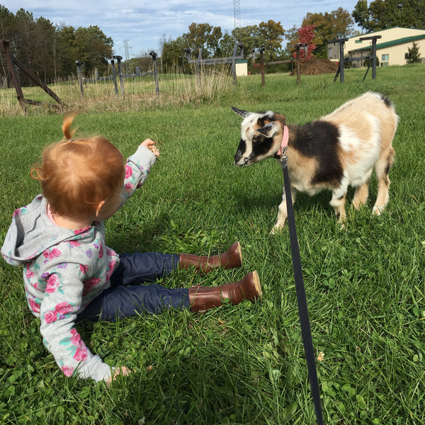 Child in floral dress with a dog on a grassy field