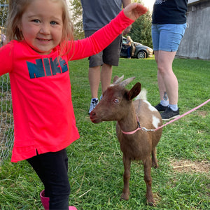 Goat Walking - Friday, October 24th, 3:30 pm to 4:30 pm