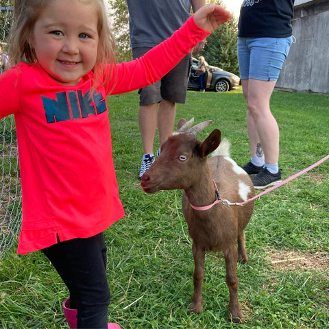 Goat Walking - Fun Activity + Education:  Wednesday, September 10th, 1:00 - 2:00 pm