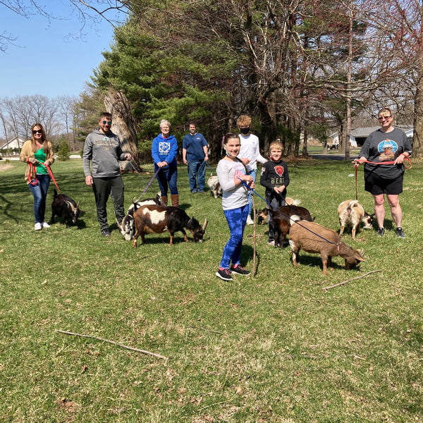 Goat Walking - Saturday, October 19th, 3:30 pm to 4:30 pm