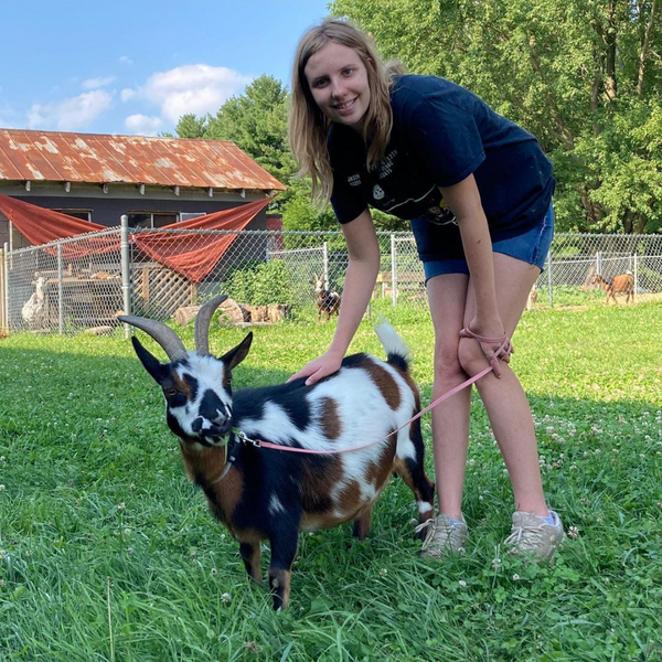 Goat Walking - Sunday, October 15th, 2:00 pm to 3:00 pm
