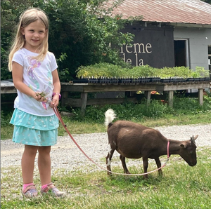Goat Walking - Sunday, October 8th, 2:00 pm to 3:00 pm