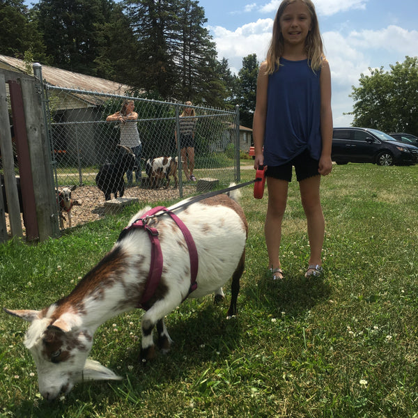 Goat Walking - Tuesday, April 30th, 3:30 pm to 4:30 pm