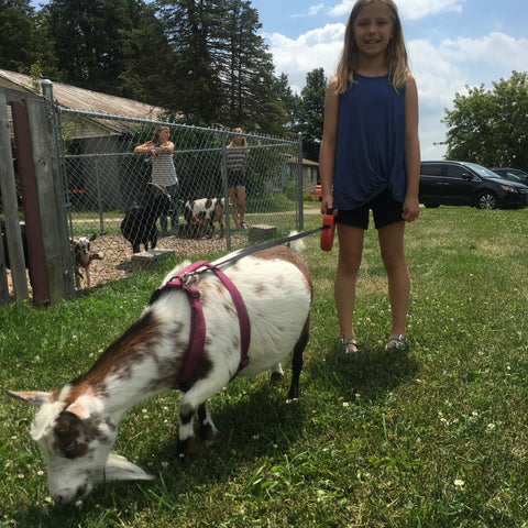 Goat Walking - Saturday, October 26th, 3:30 pm to 4:30 pm