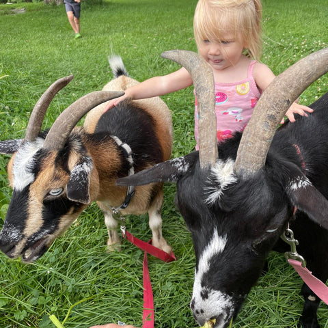 Goat Walking - Tuesday, May 14th, 3:30 pm to 4:30 pm