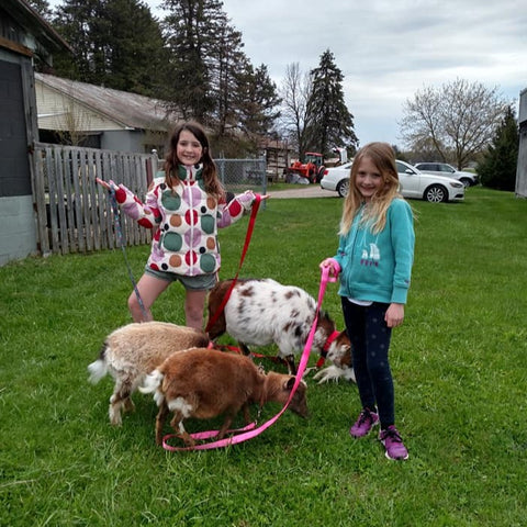 Goat Walking - Saturday, May 11th, 3:30 pm to 4:30 pm