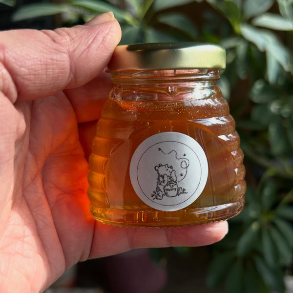 Hand holding a jar of honey with a label against a blurred natural background