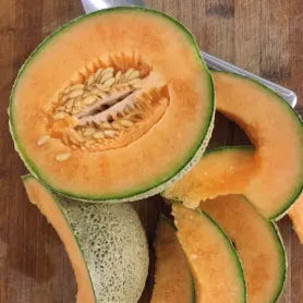 Melon, Hearts of Gold, Muskmelon - Cucumis melo