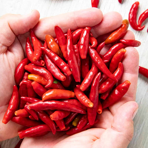 arbol- peppers- image