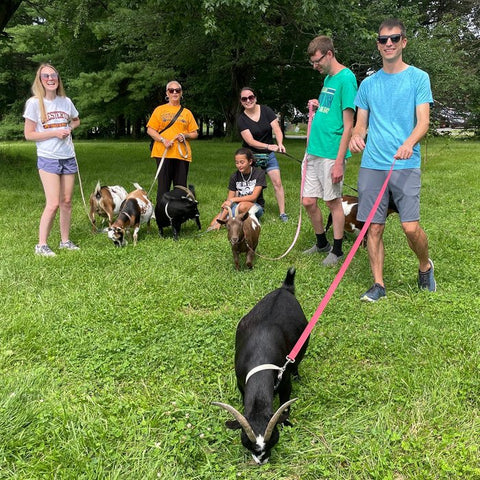 Goat Walking - Tuesday, May 21st, 3:30 pm to 4:30 pm