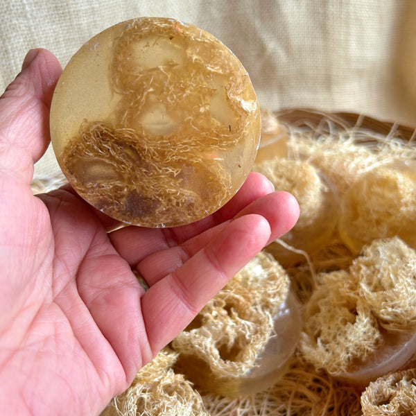 Loofah, homegrown natural sponge