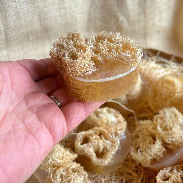 Loofah, homegrown natural sponge