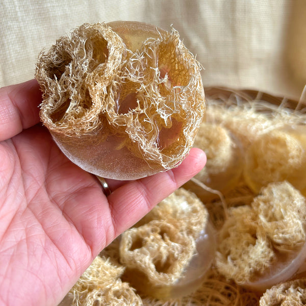 Loofah, homegrown natural sponge