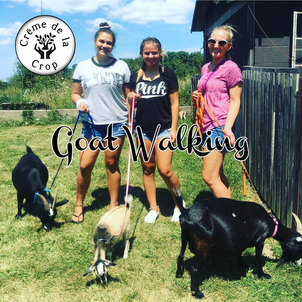 Goat Walking - Monday, June 29th, 3:30 pm to 4:30 pm