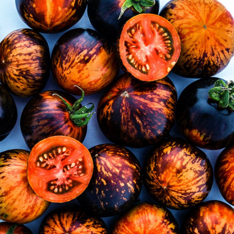 Vegetables: Tomato (Slicing), Queen of the Night - Solanum Lycopersicum