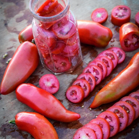 Vegetables: Tomato (Plum), Jersey Devil - Solanum Lycopersicum