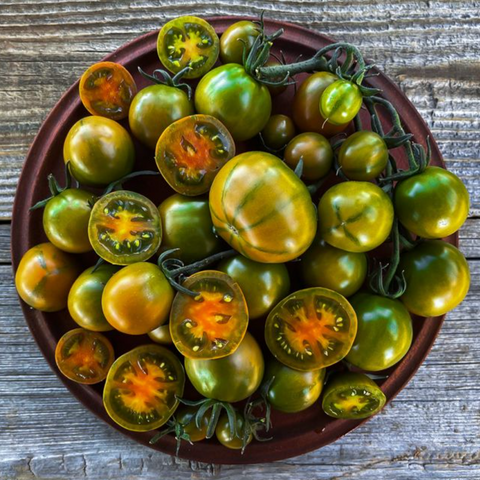 Vegetables: Tomato (Slicing), Evil Olive - Solanum Lycopersicum