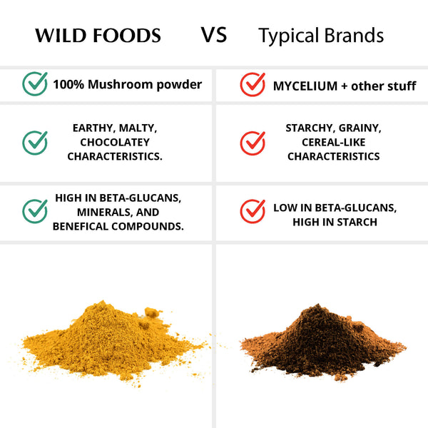 Wild Lion's Mane Mushroom Extract by Wild Foods