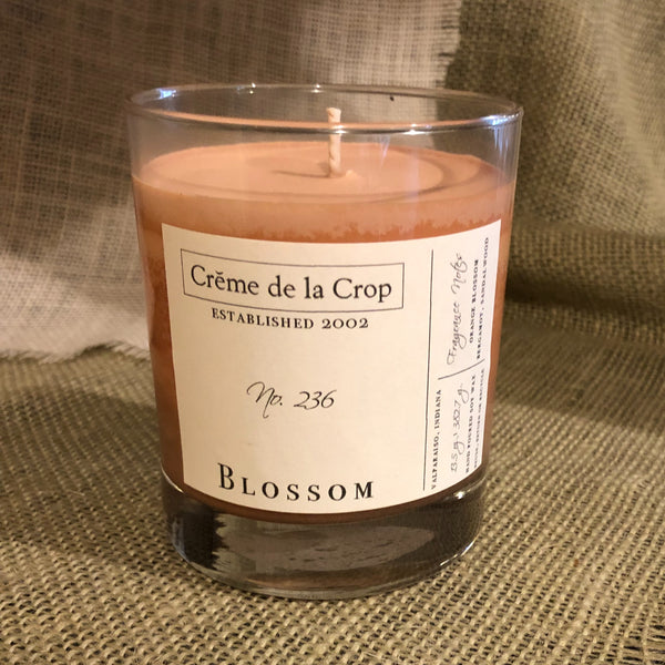 Soy Candle - Blossom (Orange Blossom)