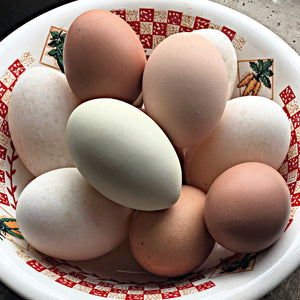 Eggs Pasture Raised Certified Organic Chicken Eggs, Ethically Raised on Pasture by a mid-sized family farm in the midwest.  You will love them they are delicious.  close-up