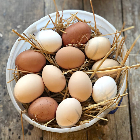 Eggs Pasture Raised Certified Organic Chicken Eggs, Ethically Raised on Pasture by a mid-sized family farm in the midwest.  The chickens are fed flaxseed. top