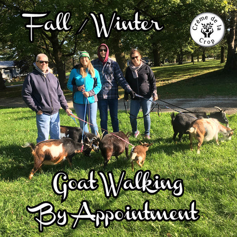 Goat Walking - Any Day - During Business Hours