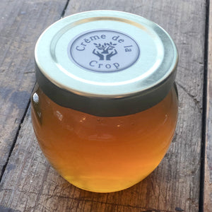 Honey - Raw & Treatment Free Local Valparaiso 3 oz top