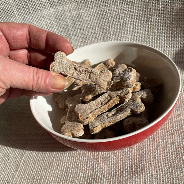 homemade-dog treats-bone shaped-group