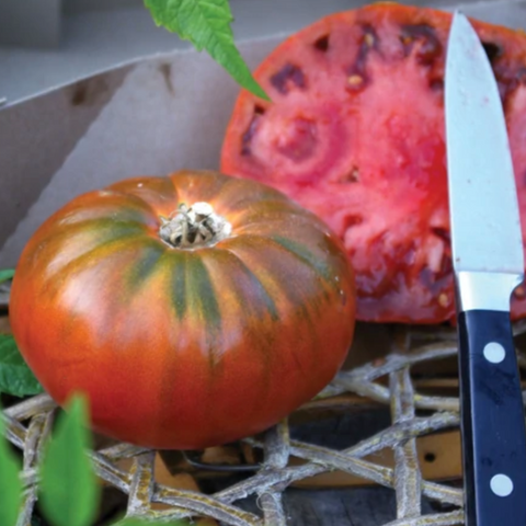 Vegetables, Tomato (Slicing), Cosmonaut Volkov - Solanum Lycopersicum