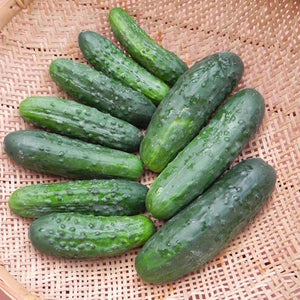 sassy- cucumber- image